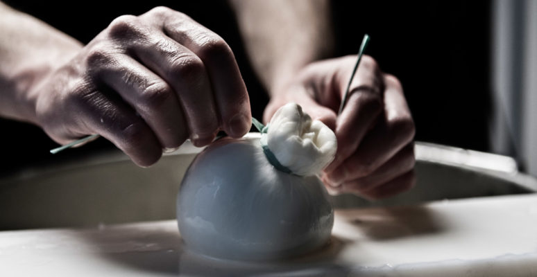 Il legame tra Burrata di Andria e territorio. Disciplinare della Burrata IGP