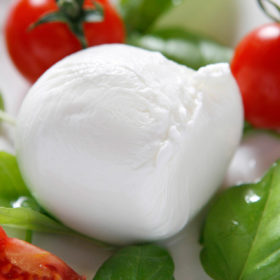 mozzarella-3